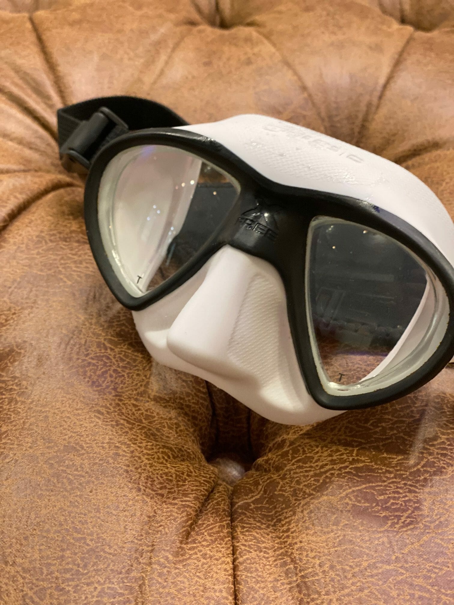 Single Vision (Distance) Prescription Dive Mask Gallery | See The Sea RX