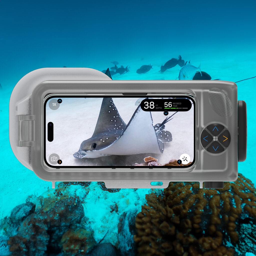 Back view of the Oceanic+ Dive Housing underwater, capturing a stingray with the iPhone turned into an underwater camera.