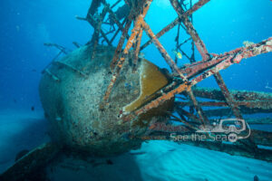 An underwater shipwreck covered in marine growth, surrounded by blue water and sandy ocean floor.
